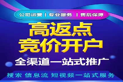 竞价SEM案例分享：行业霸主崛起之路